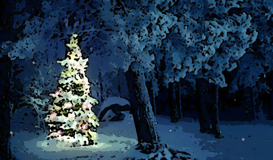 Christmas Chronicles: Tales and Imagery from the Festive Season