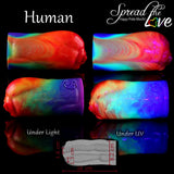 Body-safe rainbow silicone fantasy masturbators with ultraviolet glow effect