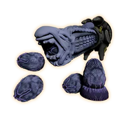 Ovipositors