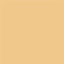 Skin Tone 5