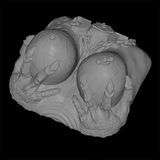 3D-Darstellung des Lilith-Boobjob-Masturbators als brustförmiges Silikontoy mit Ketten, Klauen und Fantasy-Details der Queen of Hell