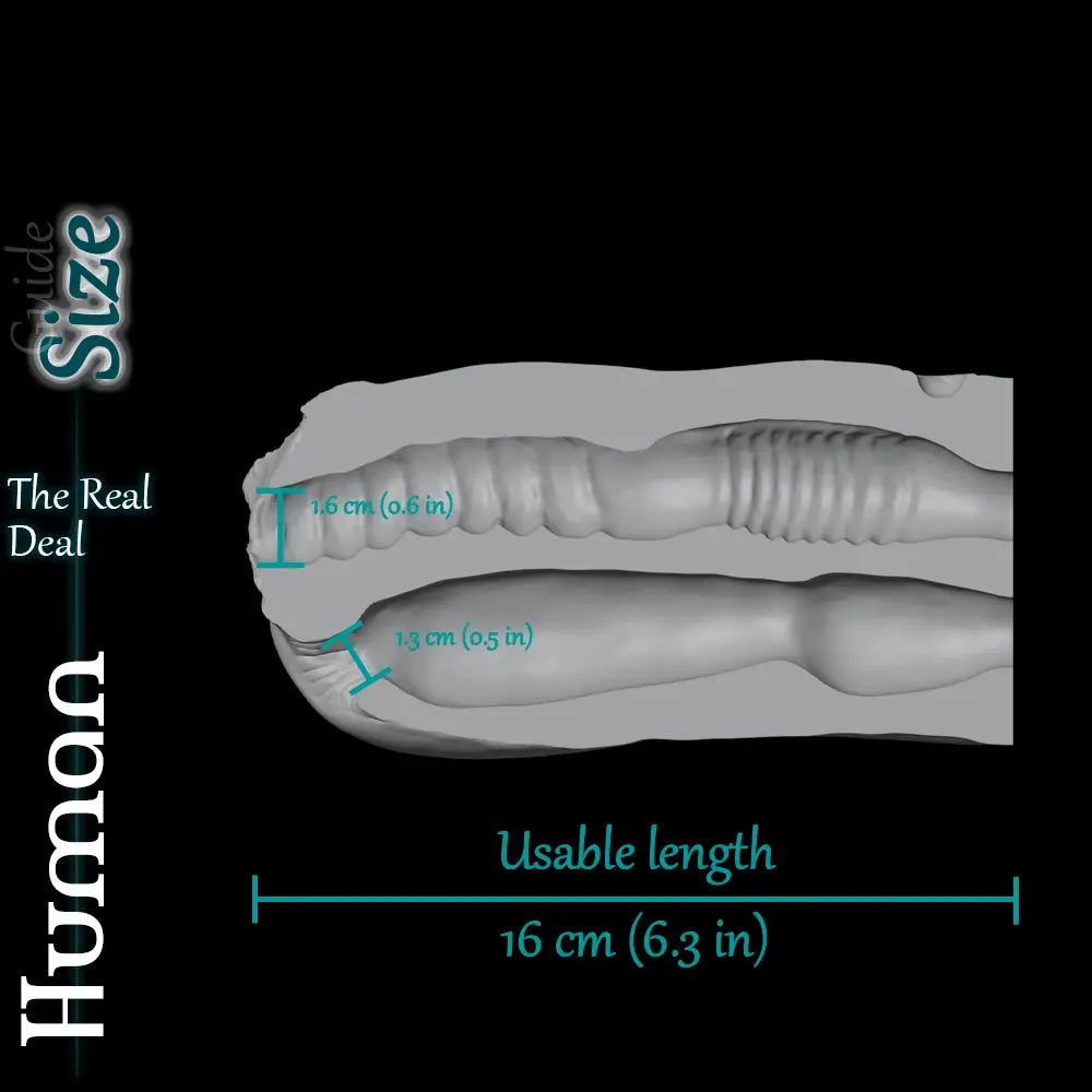 Custom Female Human size guide