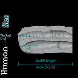 Human double-hole masturbator cross-section showing an 18 cm tunnel length, 8.2 cm body width and textured 1.3 cm and 1.6 cm openings - product media 3